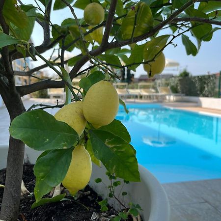 Hotel Renata ラツィーゼ エクステリア 写真